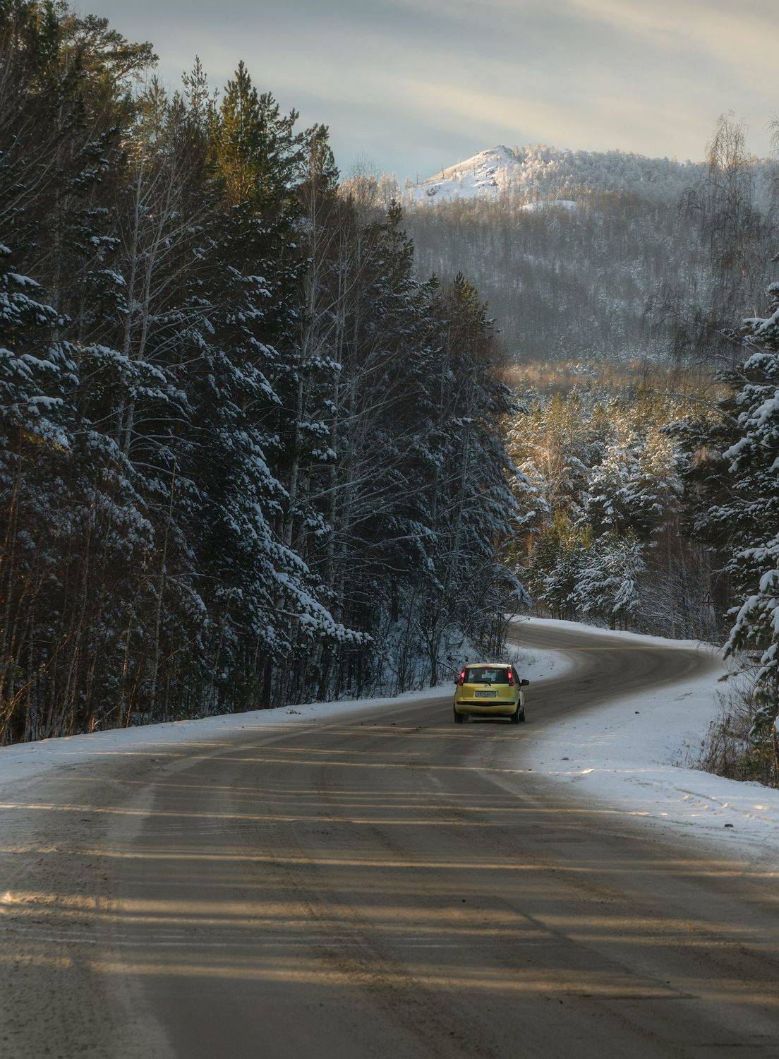 , Дмитрий Жучков