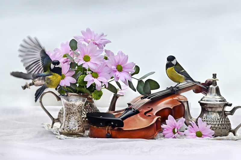 фото превью