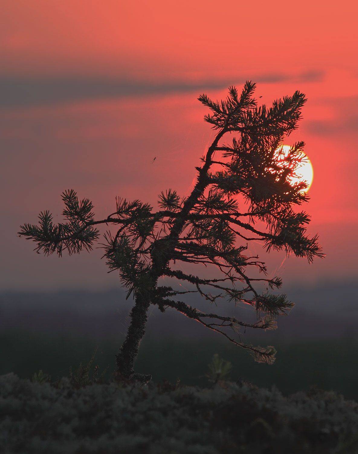 , Юрий Дёмин