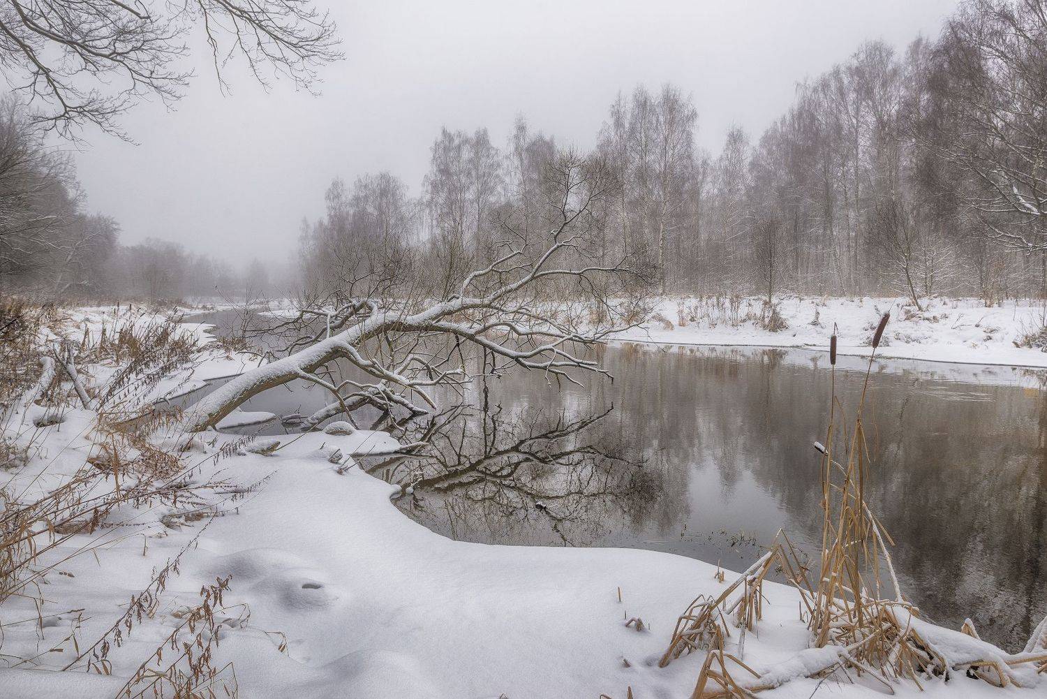 река, снег, лес, Сергей Аникин
