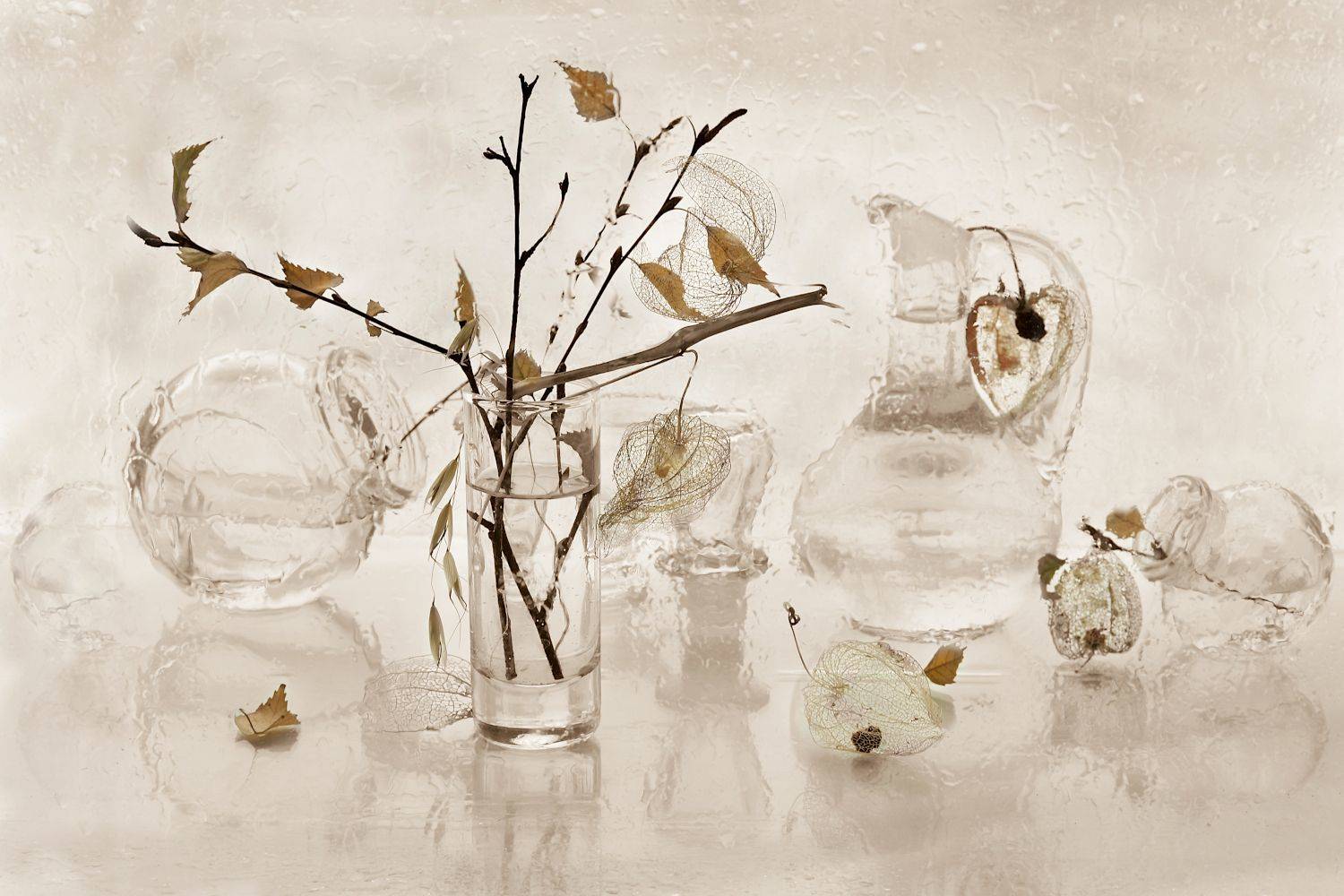 натюрморт, стекло, прозрачность, ноябрь, ветки, Шруб (Беляева) Татьяна