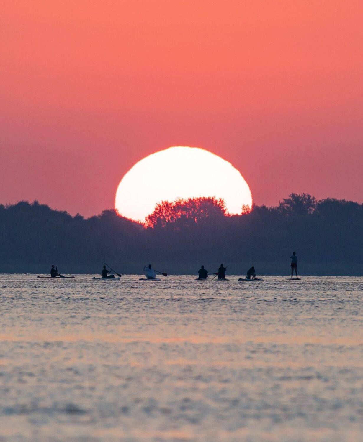 , Максим Подосинников