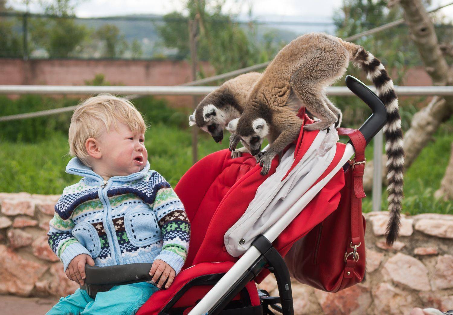 , Максимова Дария