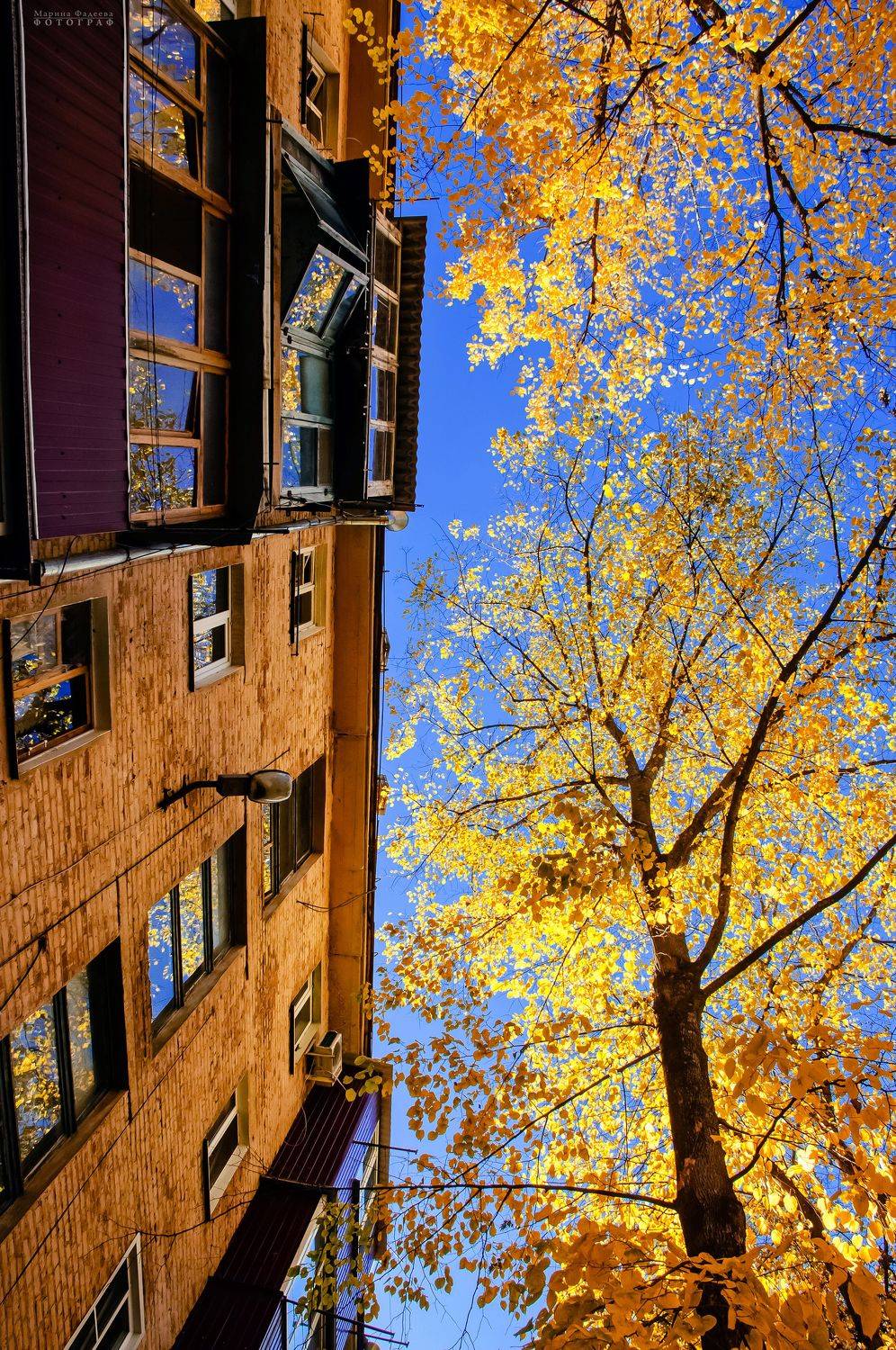 осень, двор, дом, город,  Мариночка