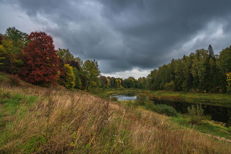 ловать,осень,река, Ловать. Сентябрь. фото превью