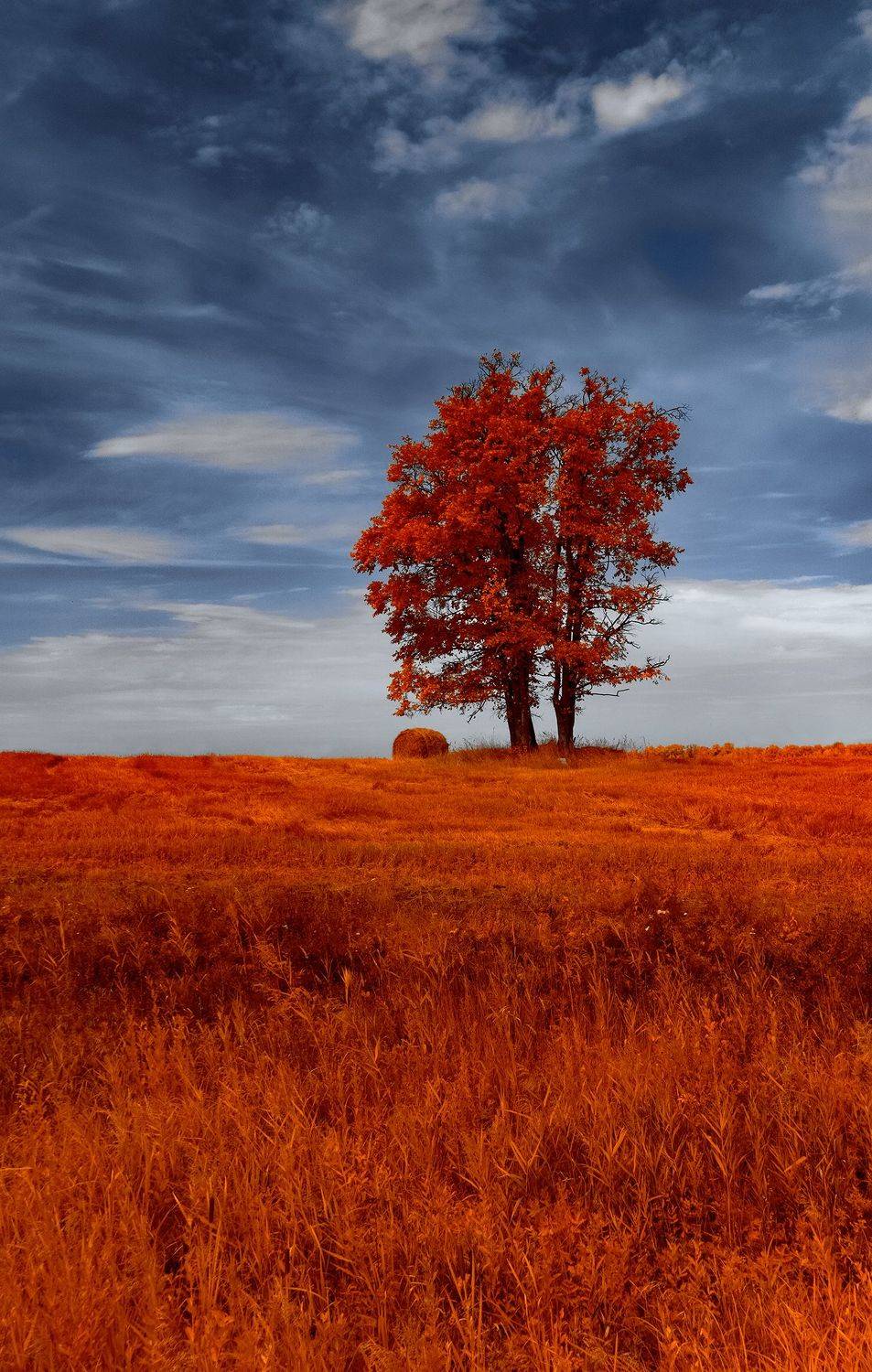 infrared,ик-фото,инфракрасное фото, инфракрасная фотография, пейзаж, лето,  Sixten (Сергей)