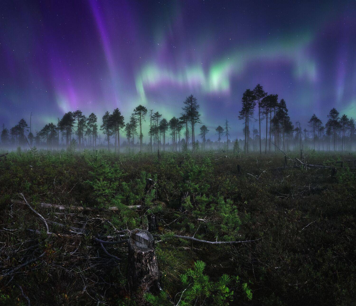 пейзаж, ночь, звезды, осень, северное сияние, полярное сияние, север, туман, landscape, northern lights, aurora borealis, polar lights, nightscape, stars, autumn, fog, Чаланов Иван