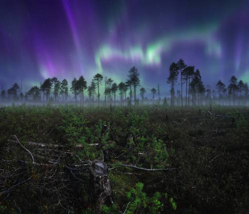 Танец Северного сияния