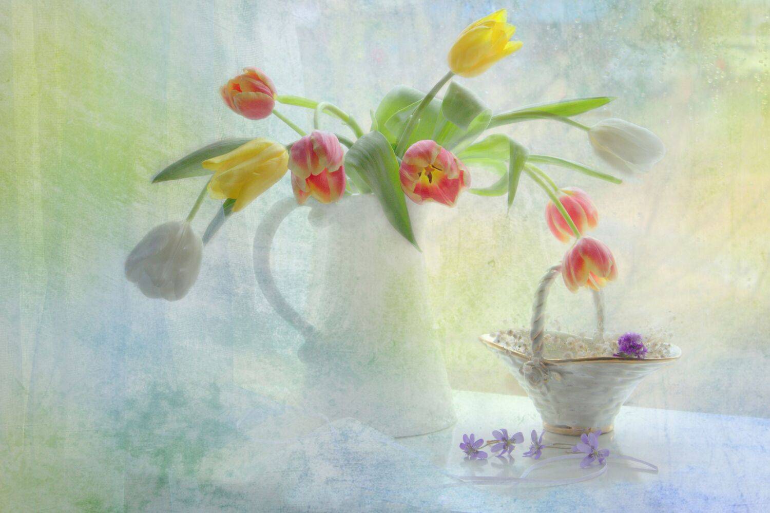 тюльпаны, Хохлова Наталья