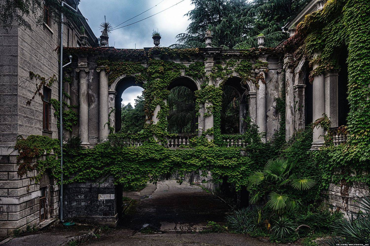 , Вадим Миронов