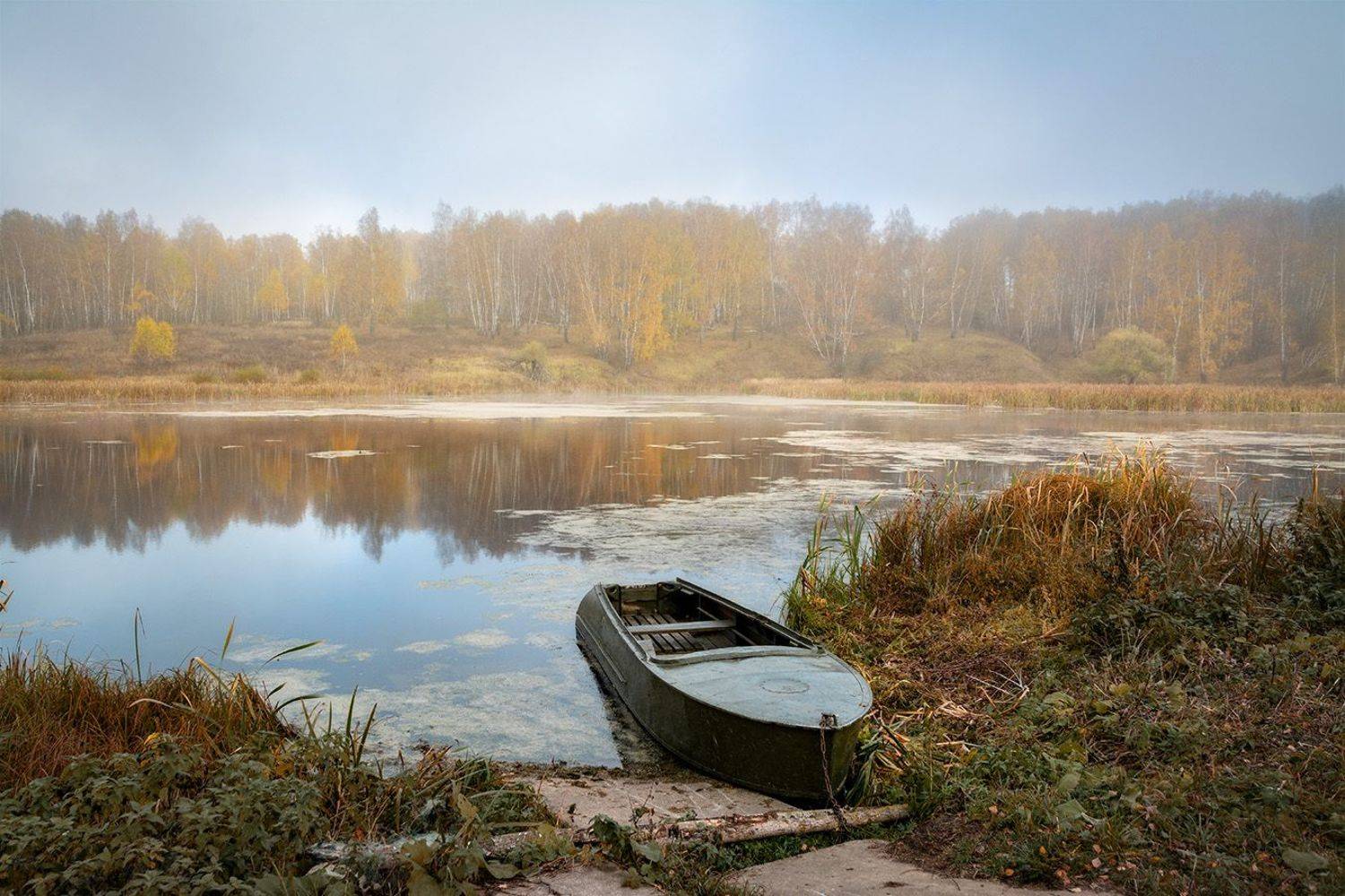 , Анатолий Зверев