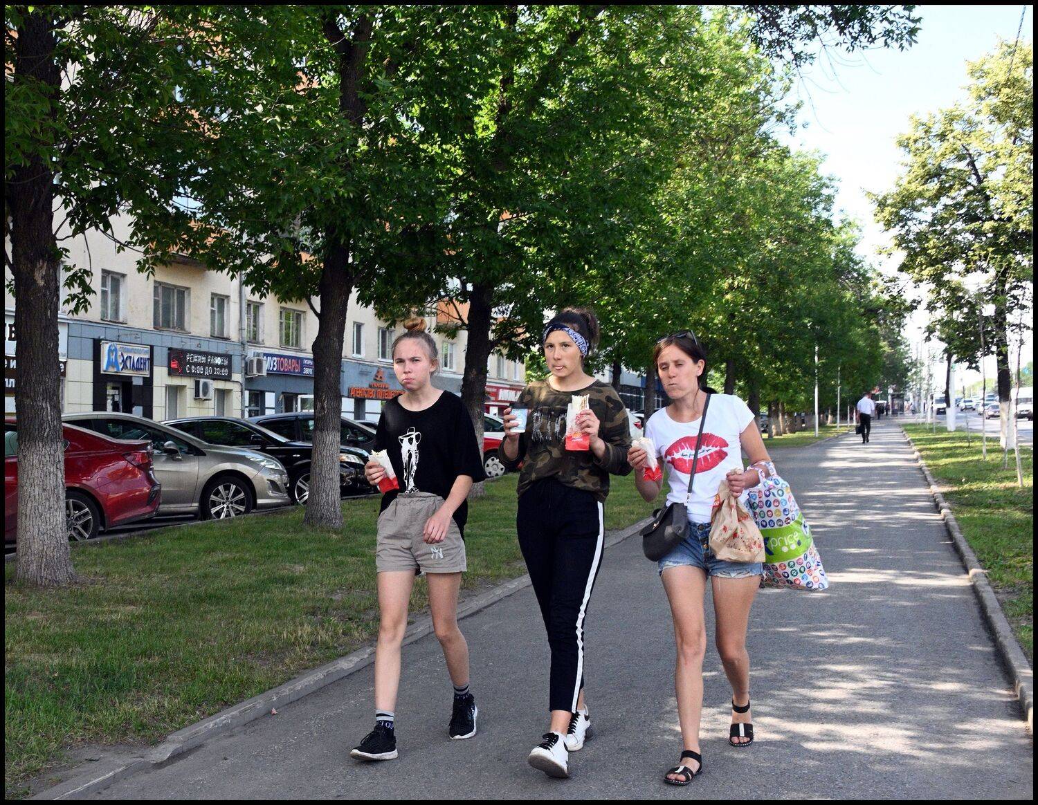 , Меднов Влад