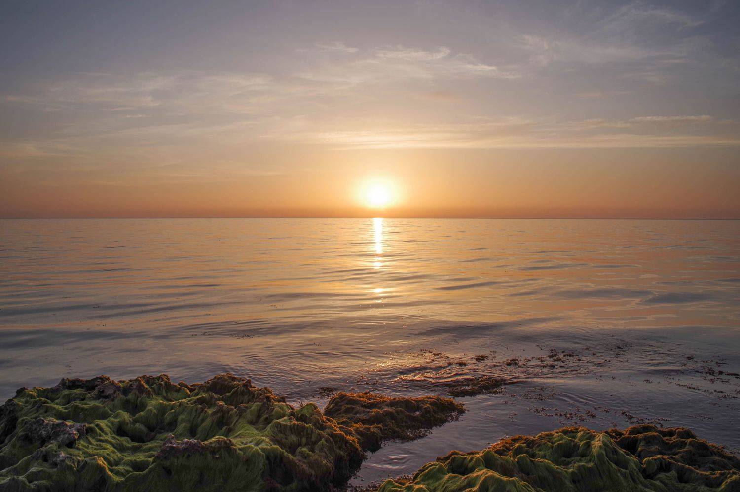 , Ольга Беккер