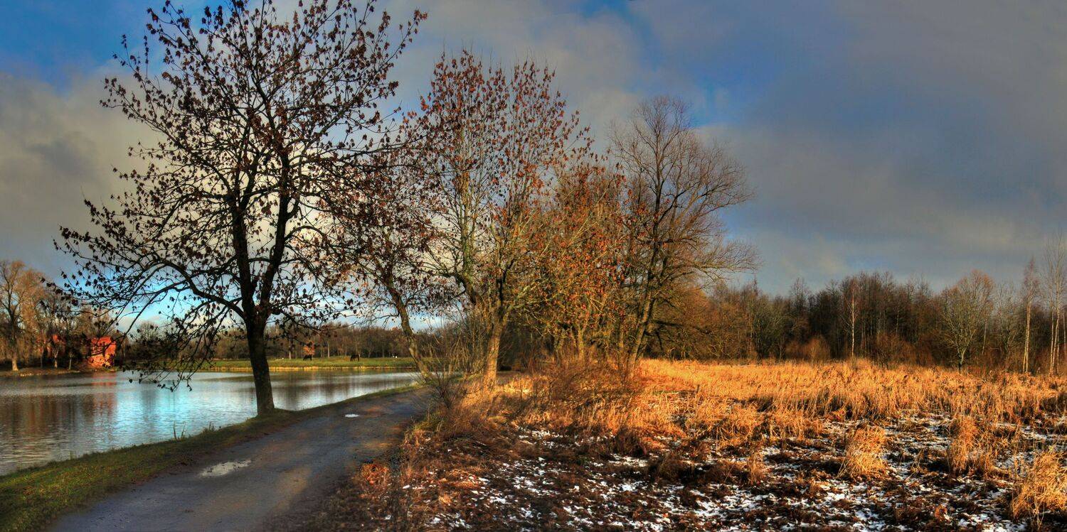 , Сергей Григорьев