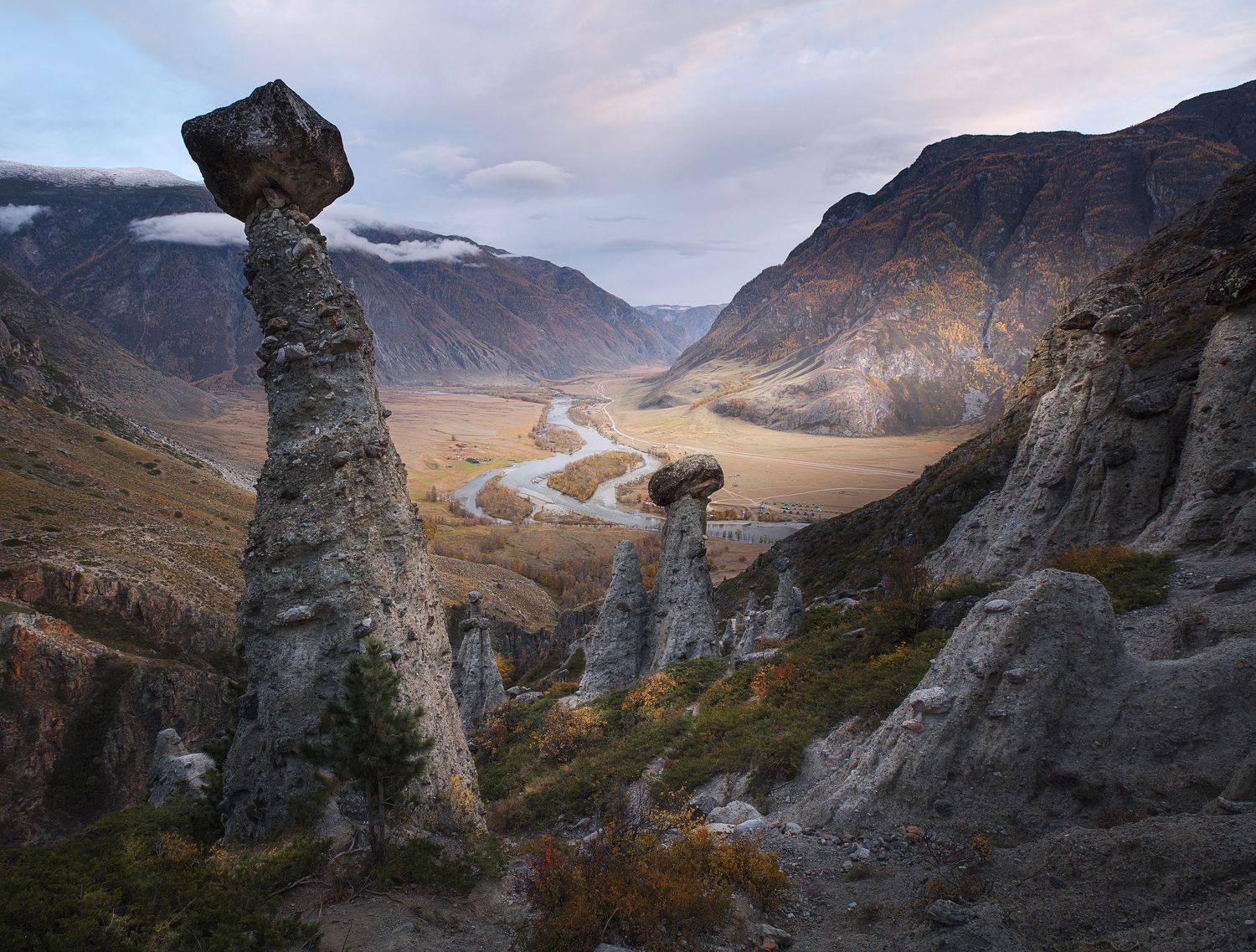 алтай каменные грибы, Захарова Наталья