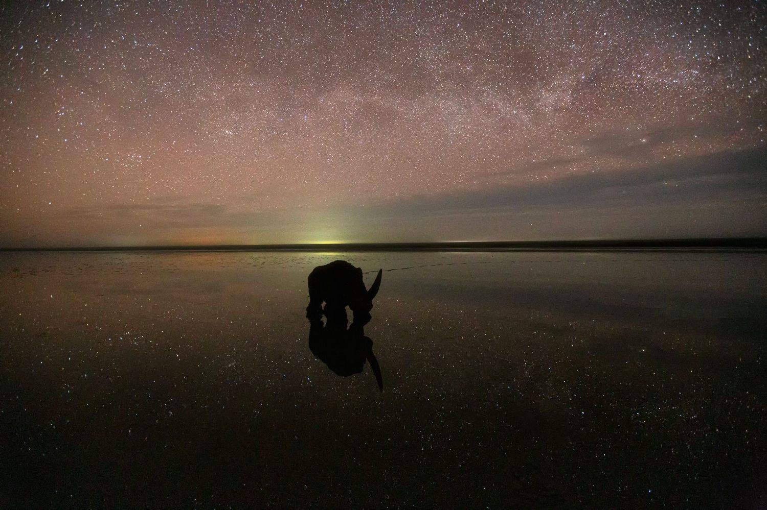 , Юрий Столыпин