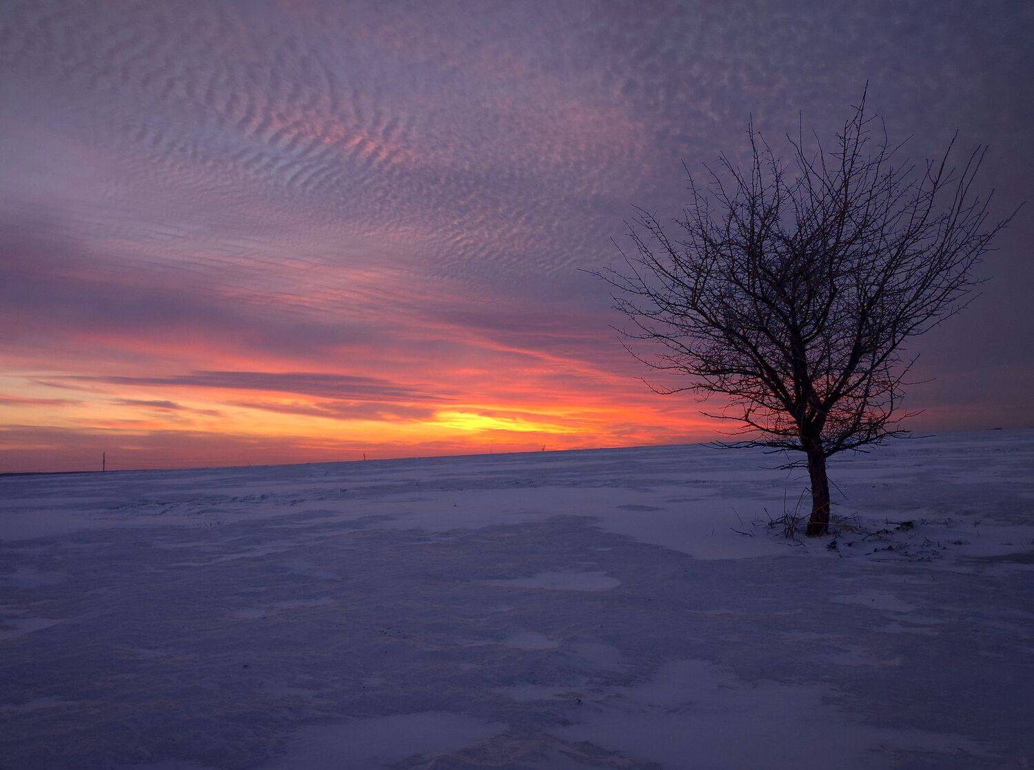 закат, весна, пейзаж, природа, Валерий Савостьянов
