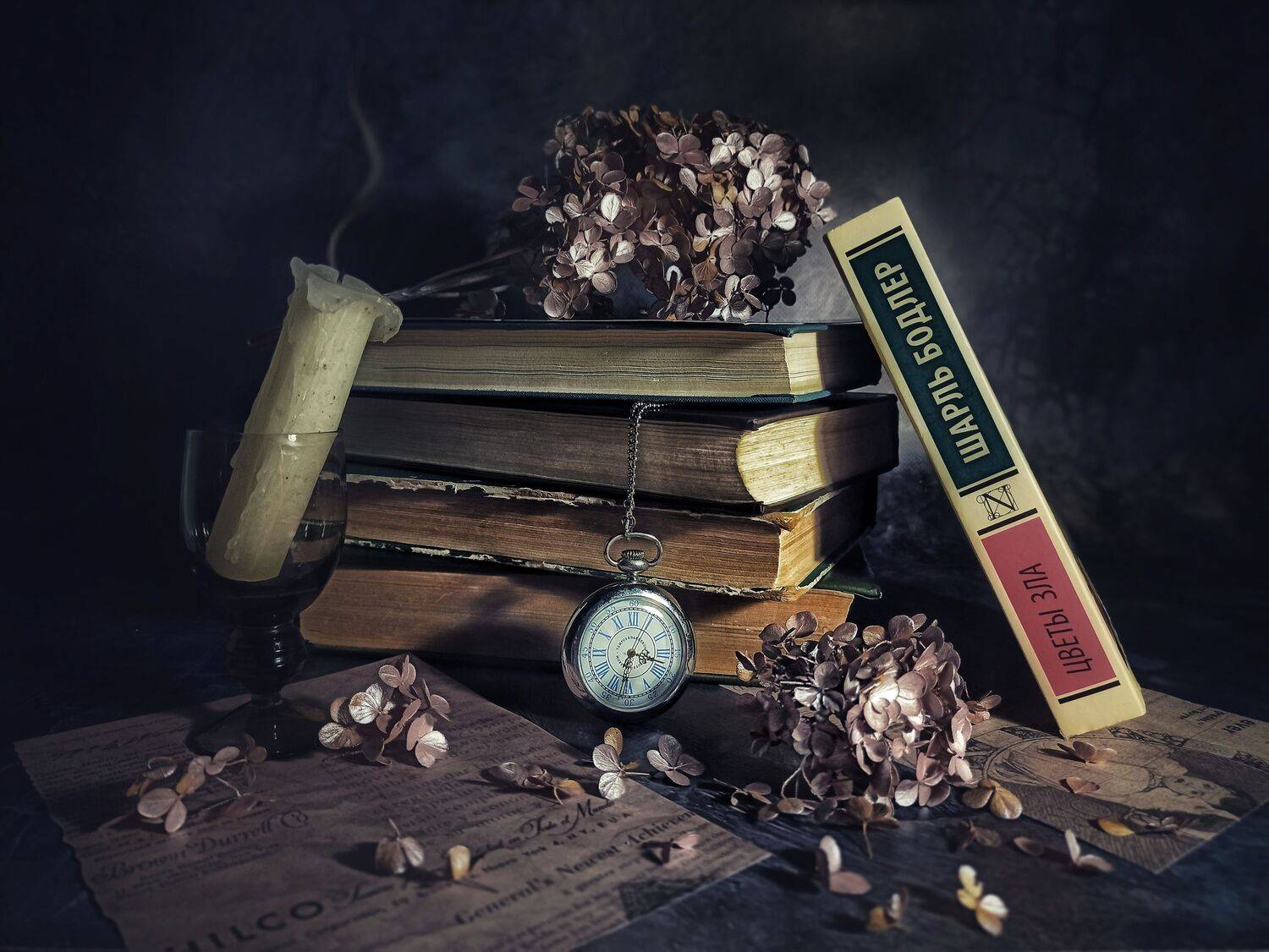 , Дина Полухина