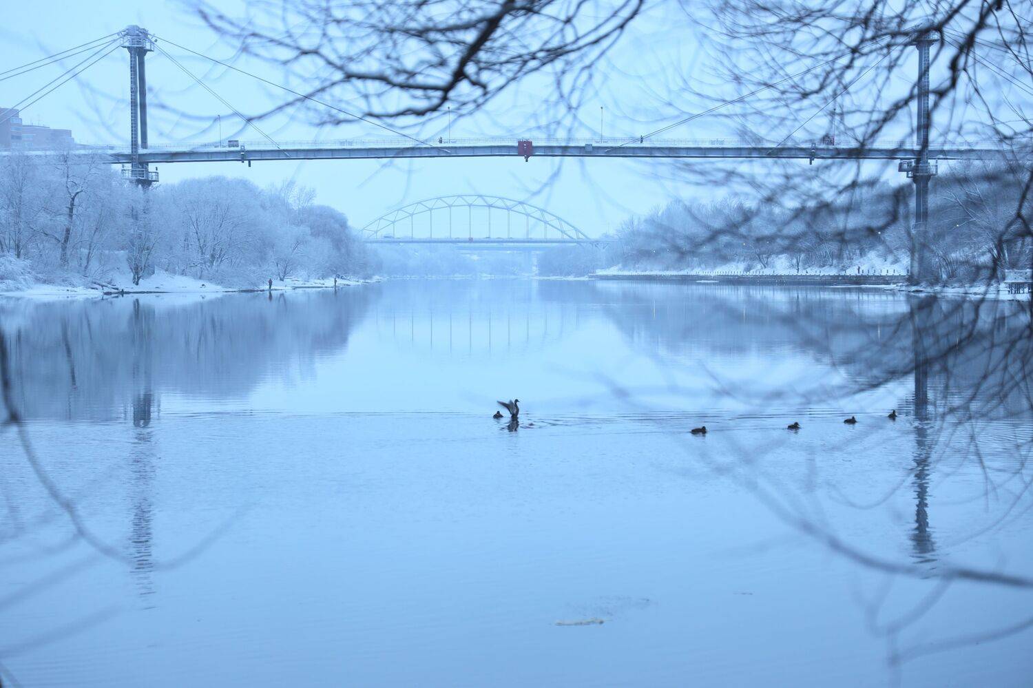 , Елена Колосова