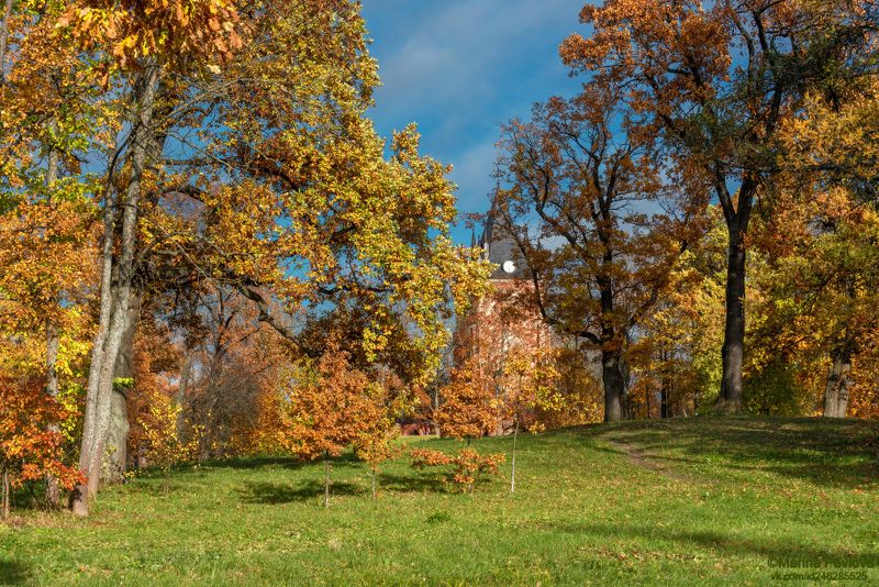 город, архитектура, александровский парк, пейзажный парк, замок \\\