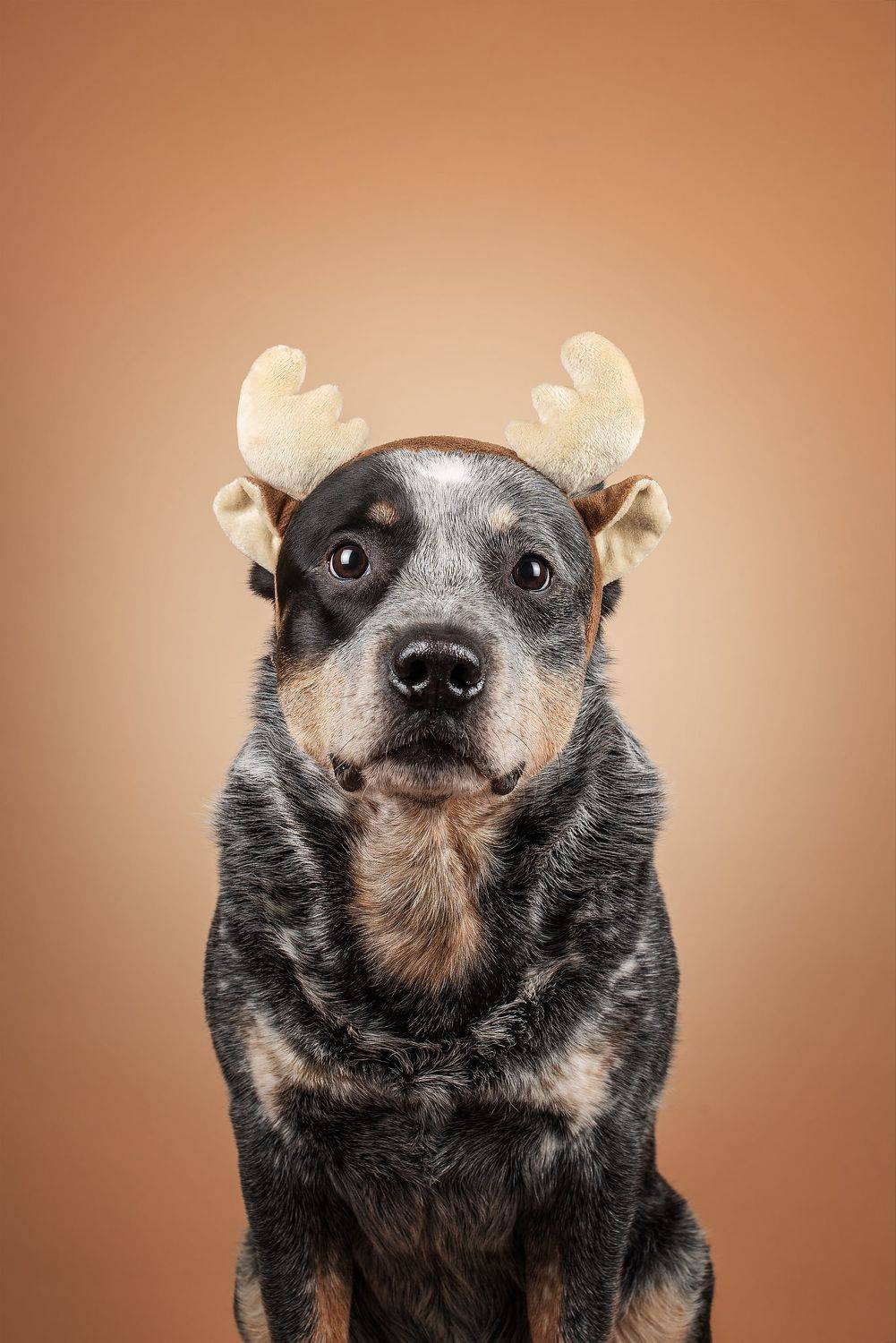 , Юлия Гончар