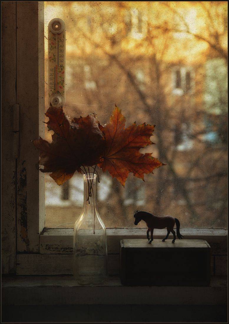 , Хромеев Александр