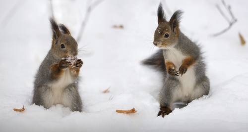 Я тоже хочу !