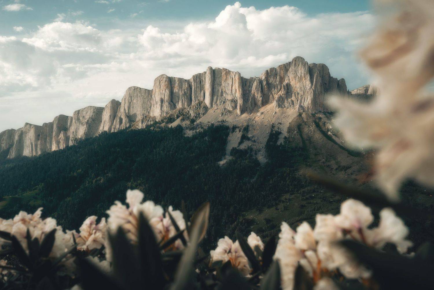 , Сергей Лукашенко