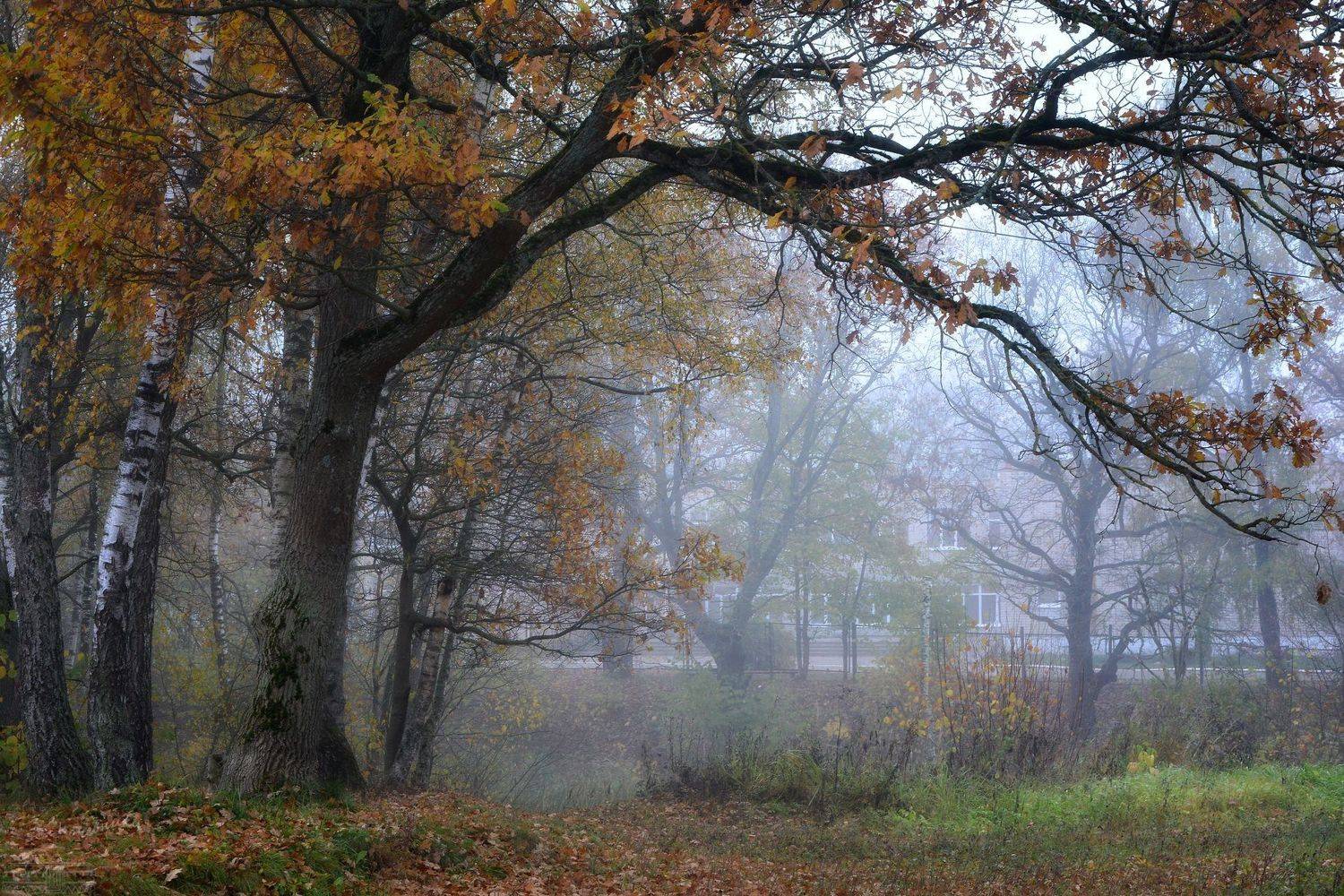 , Юлия Абрамова