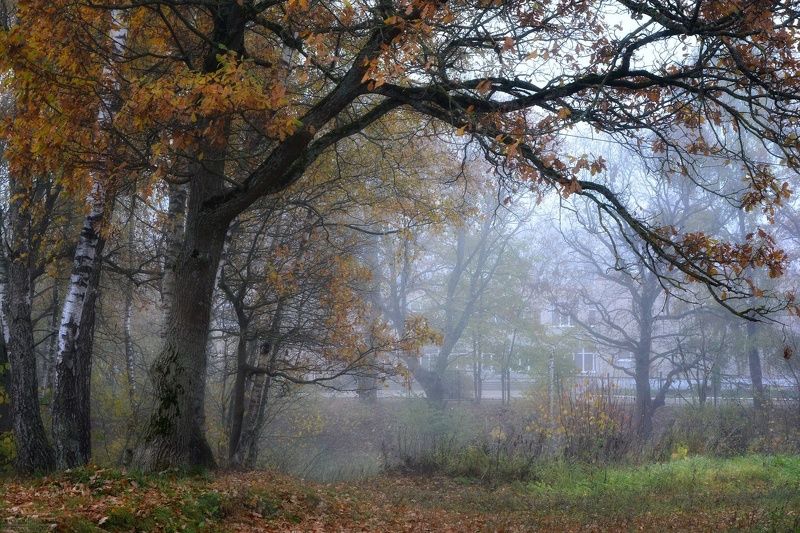 Вековое спокойствие фото превью
