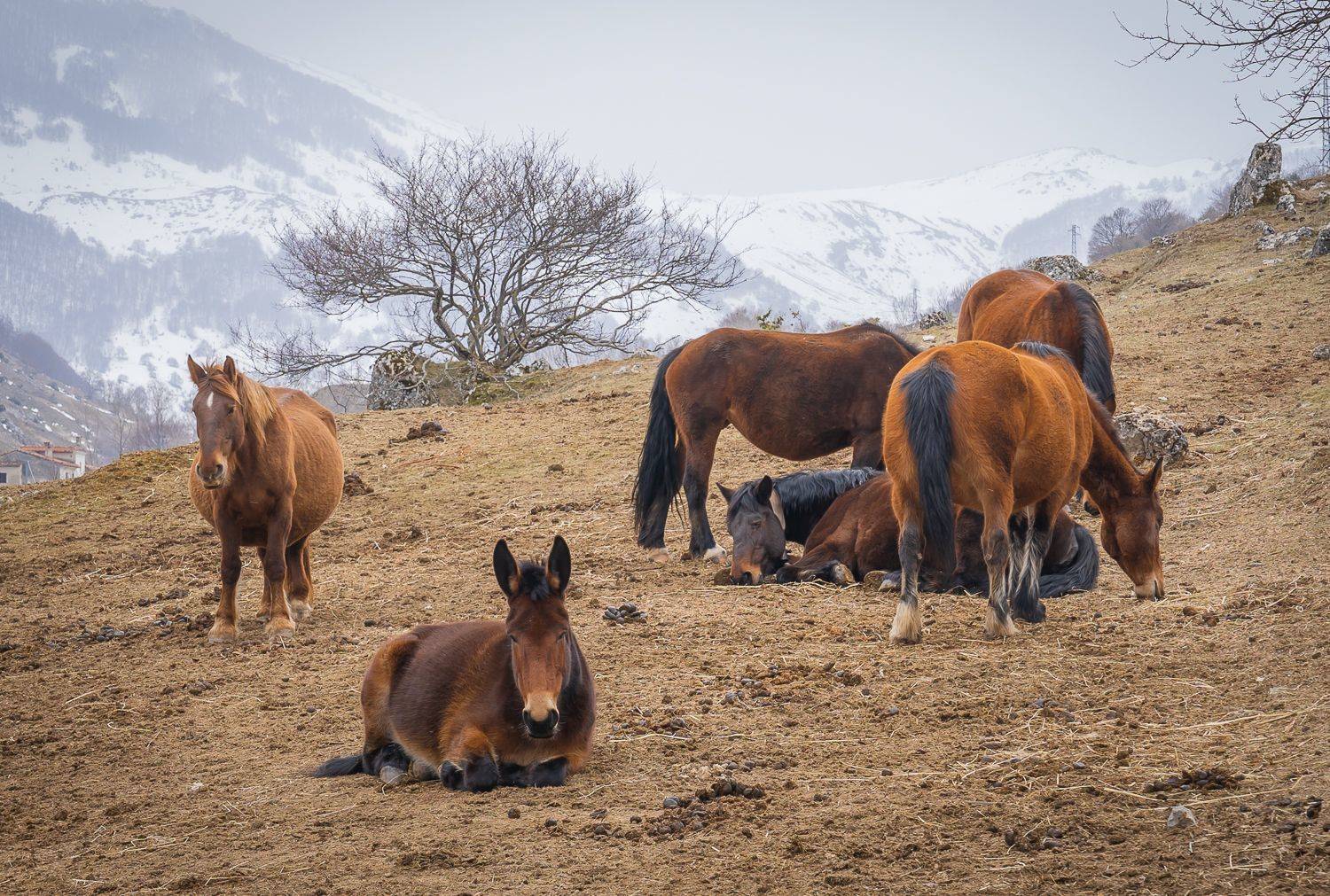 , Максимова Дария