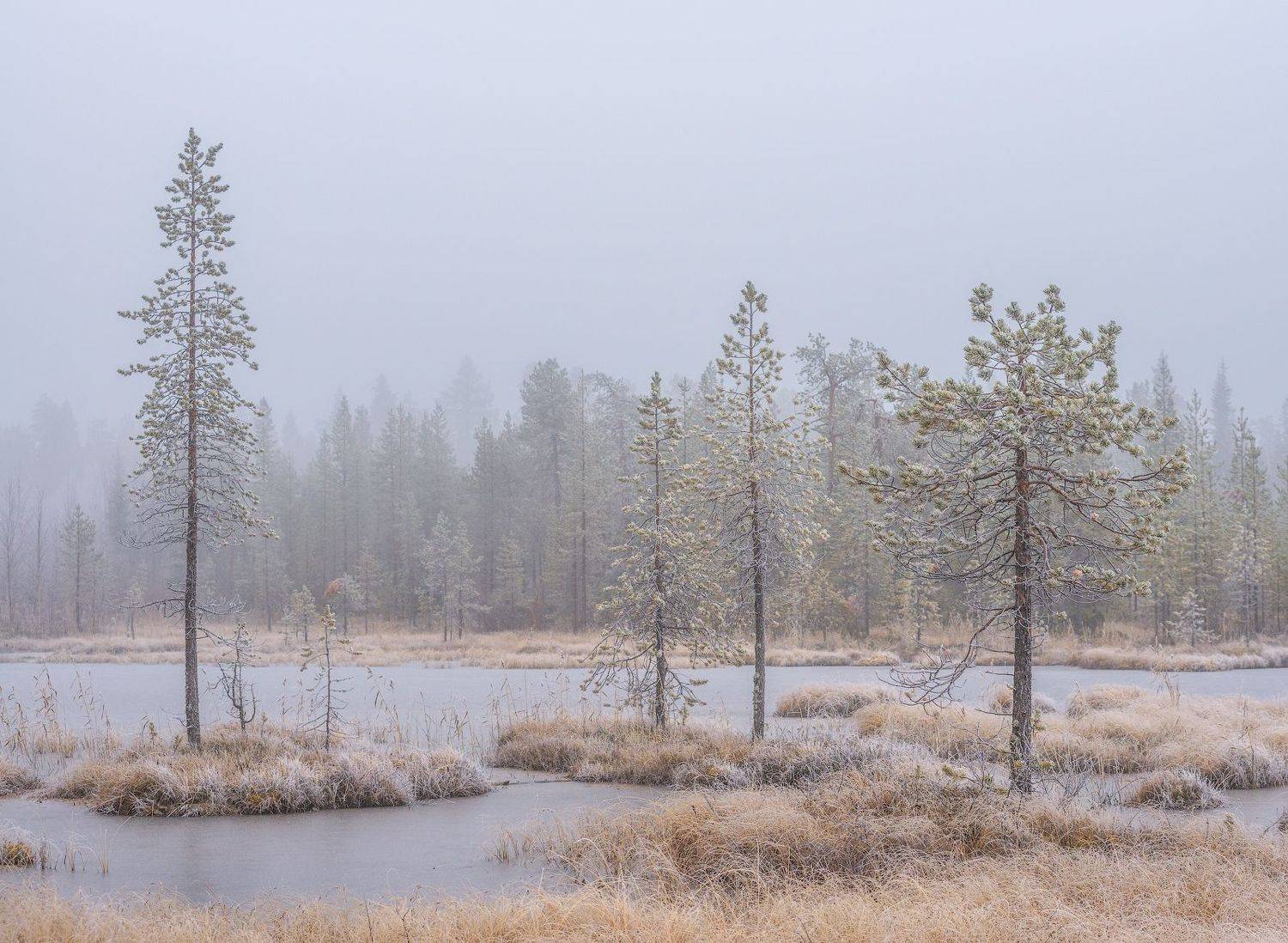 север, кольский, хибины, заполярье,, Роман Горячий