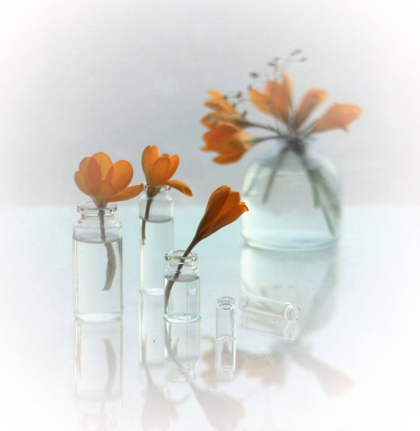 , Людмила Хрусталева*