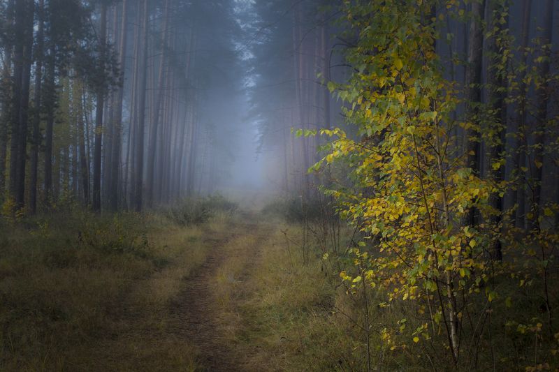 ******** фото превью