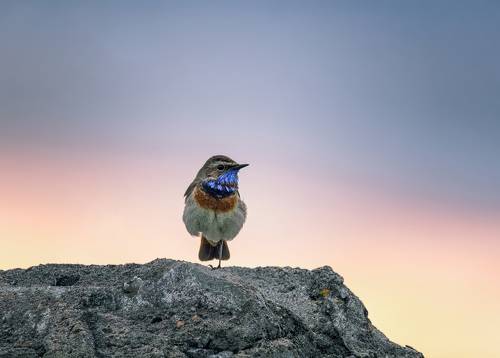 и так бывает..