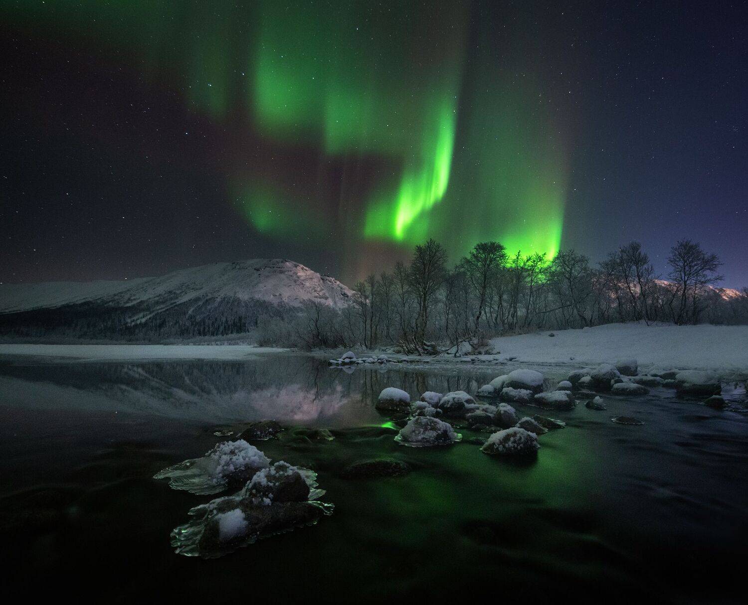 , Виталий Истомин