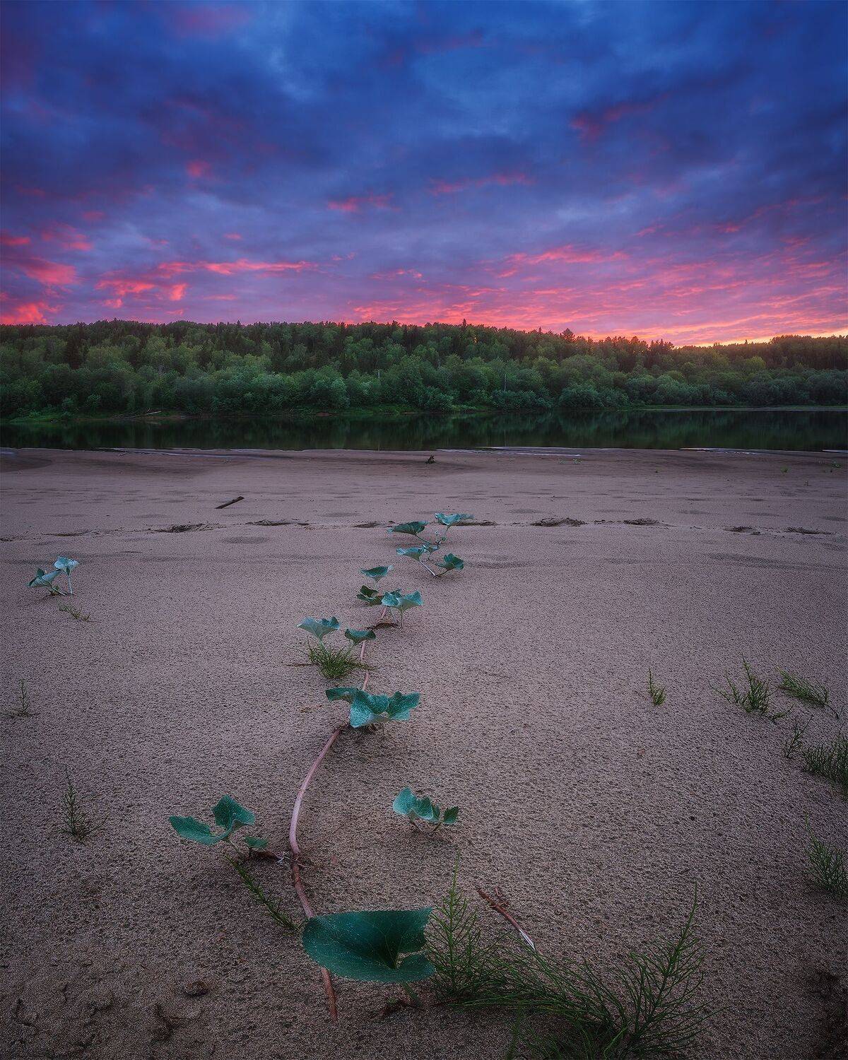 пейзаж, закат, река, лето, landscape, sunset, summer, sky, облака, Чаланов Иван