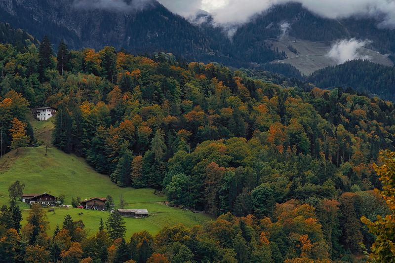 Осенние мотивы фото превью