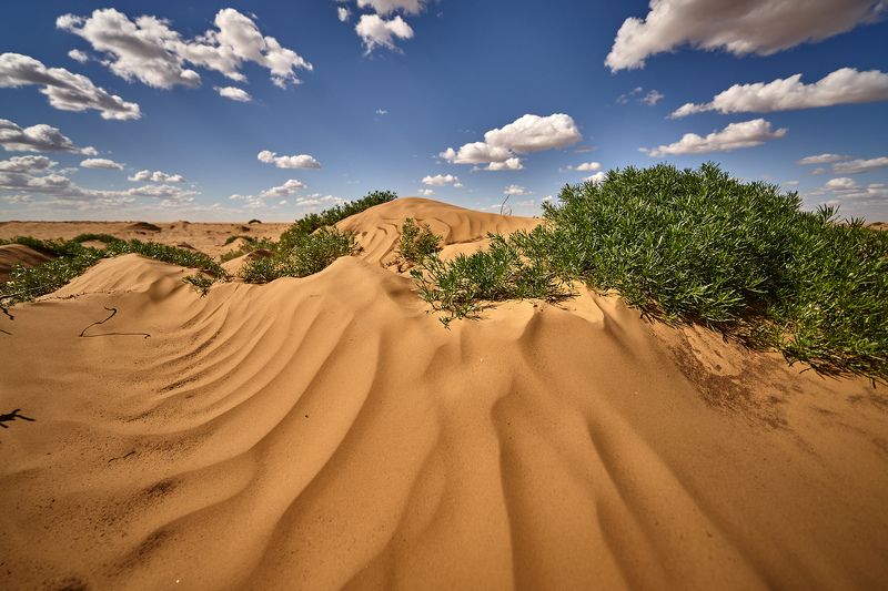 Portfolio фото превью