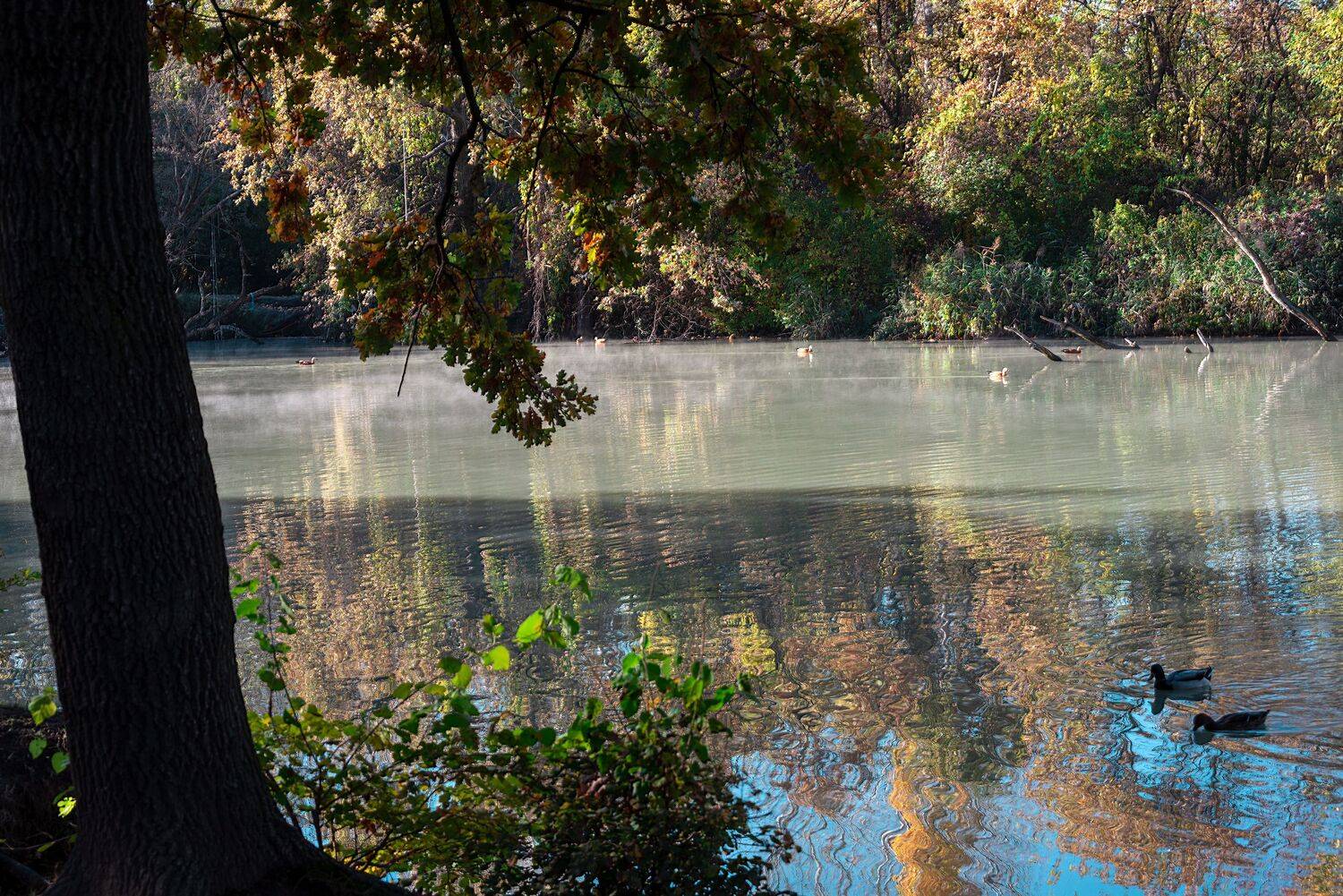 остров, солнечный, ., озеро, старая, кубань., Алексей Рыльский