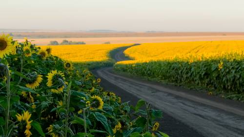 Простор для солнца