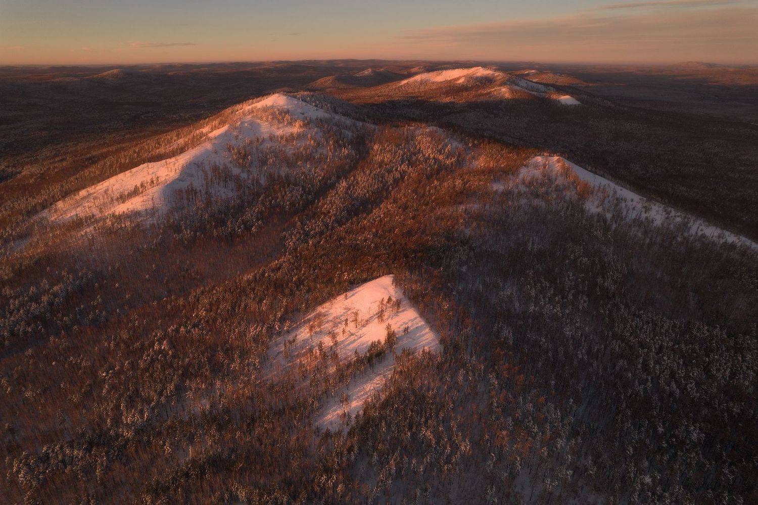 , Дмитрий Жучков