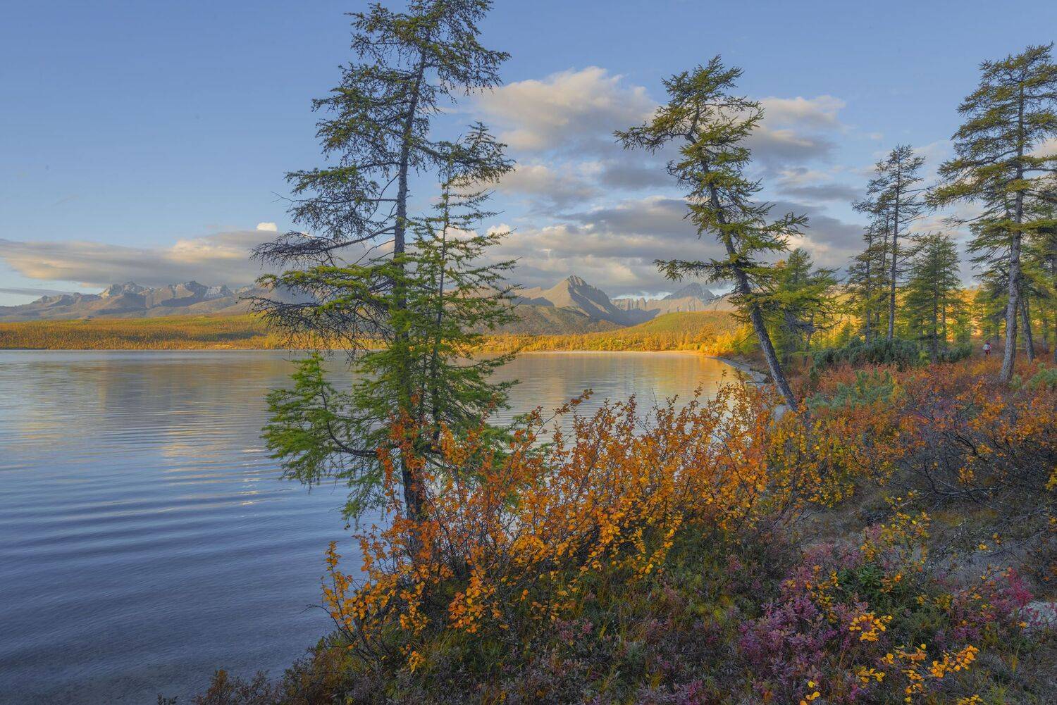 Фототуры с Владимиром Рябковым, #topnature #russpasibo #magic_shots #lovelyRussia #sunset_vision #exclusive_sky  #exclusive_shots #loves_russia2 #photoarena_nature #nature_sultans #nature_perfection #rsa_sky #rsa_sunset #photorussia #rsa_naturepics #sunse, Владимир Рябков