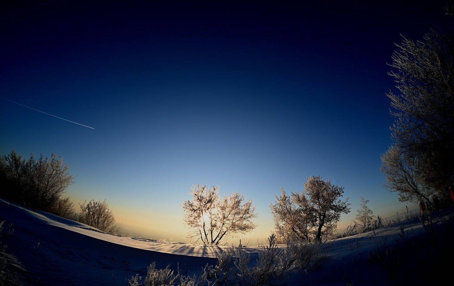 , Меднов Влад