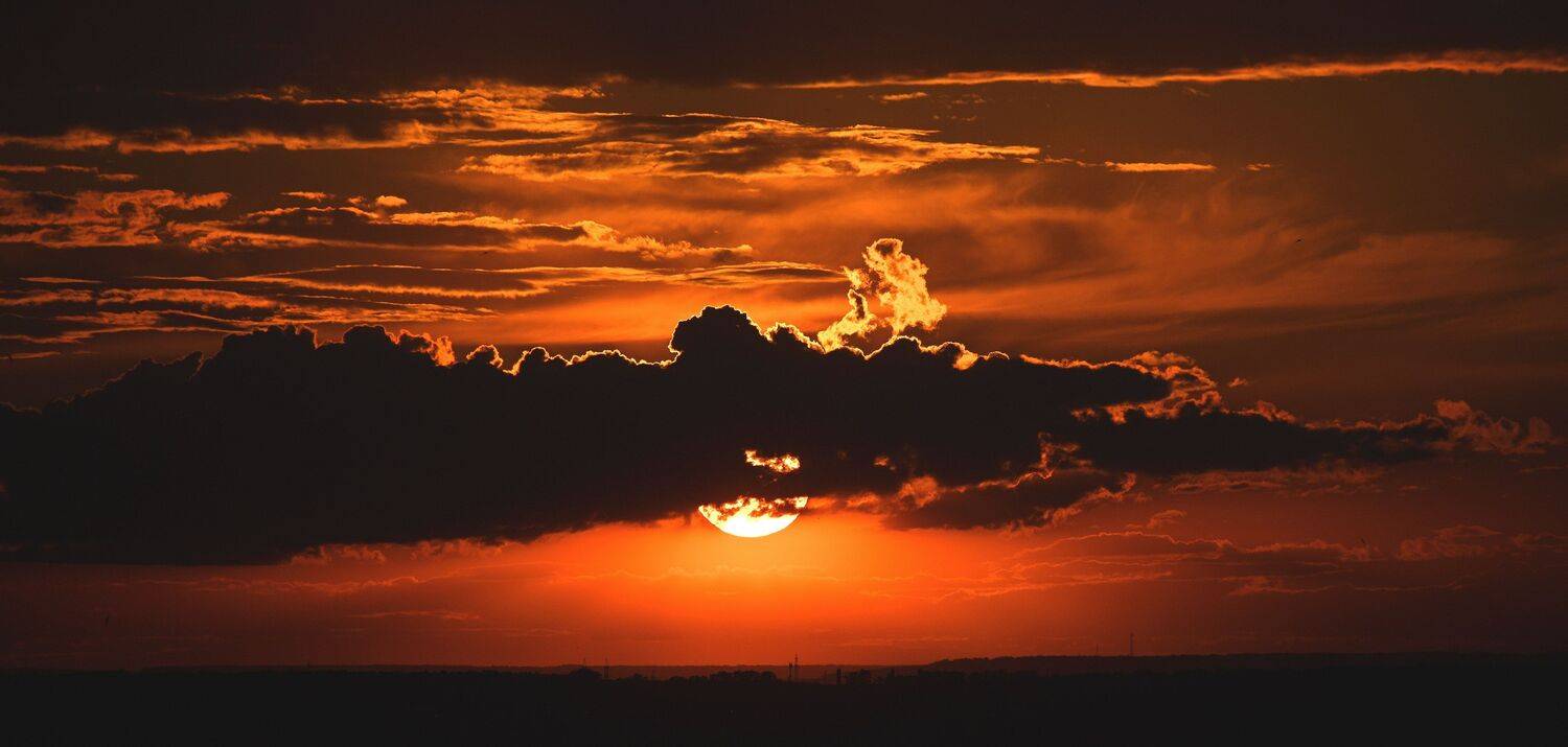 , Меднов Влад