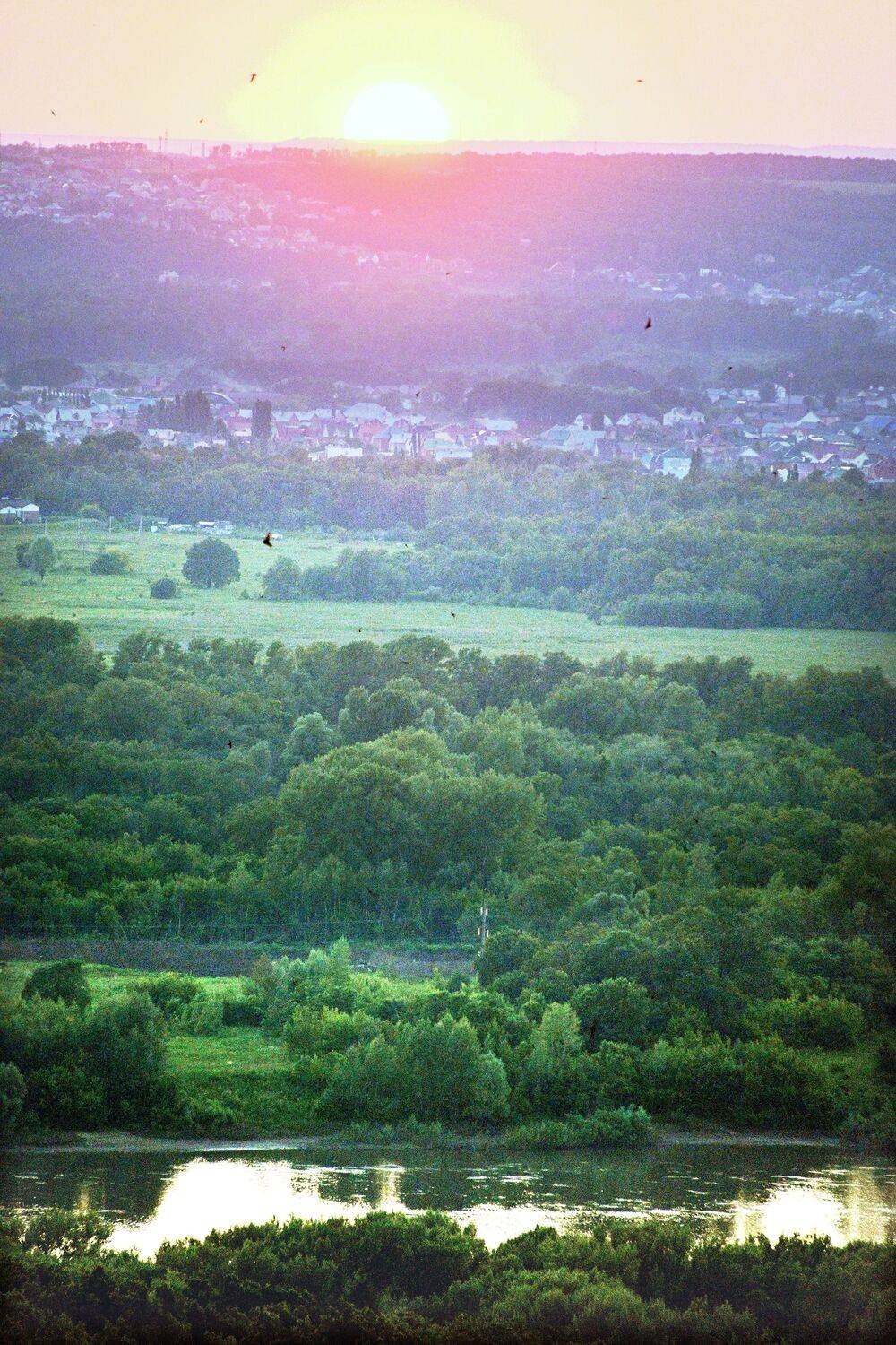 , Меднов Влад