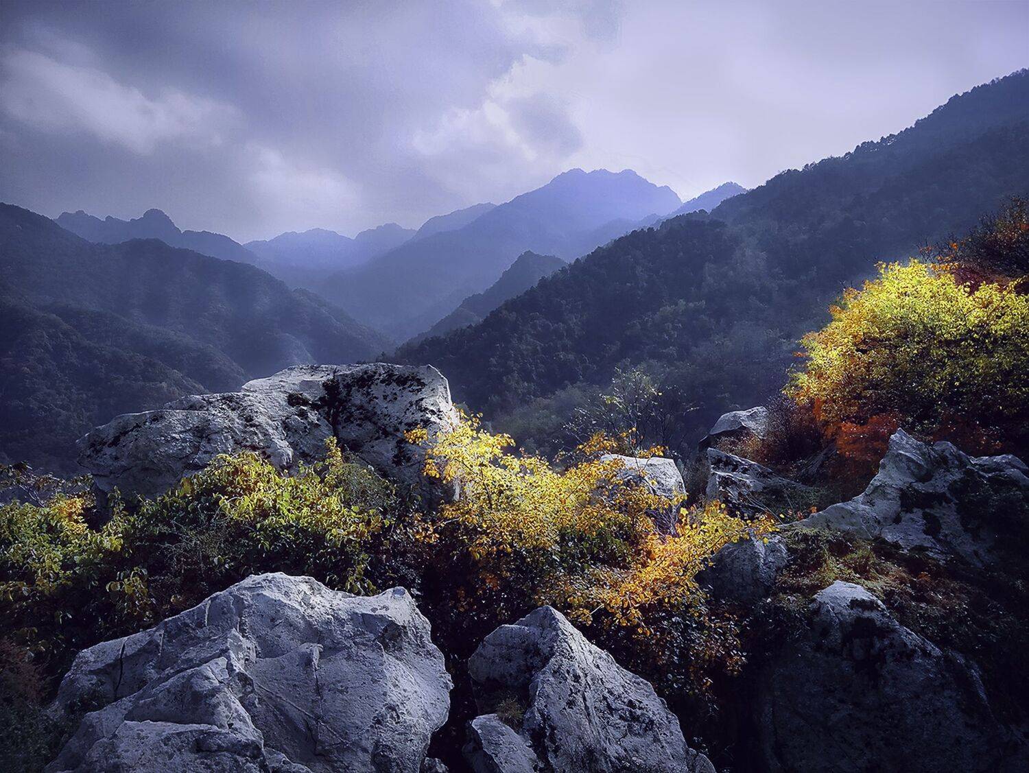 翠华秋, 吴 微雨墨烟鸿