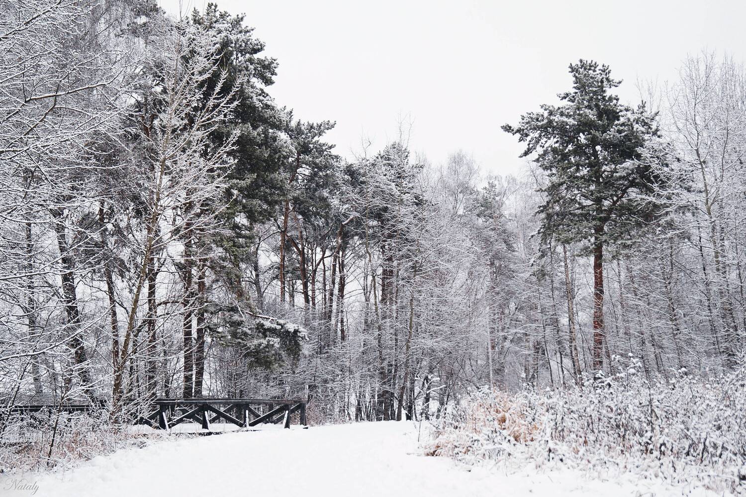 , Екимова Наталья