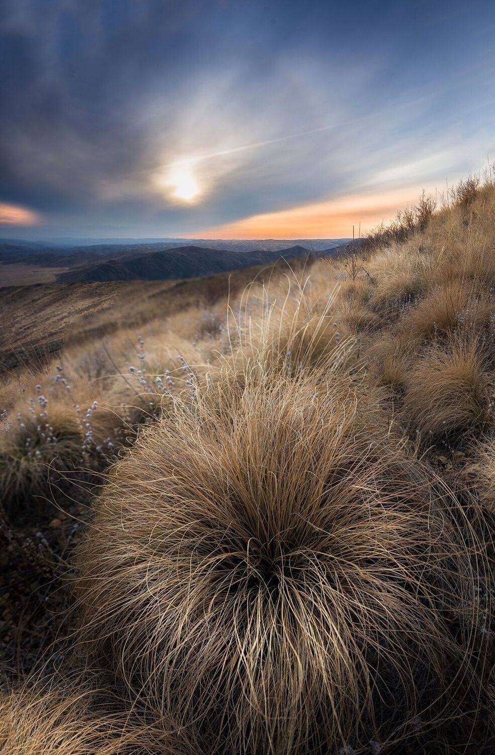 , Антонов Антон