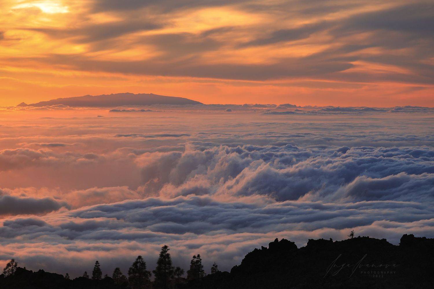 , Инга Иванова